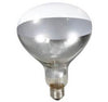 Brooder Lamp Bulb 250 Watt