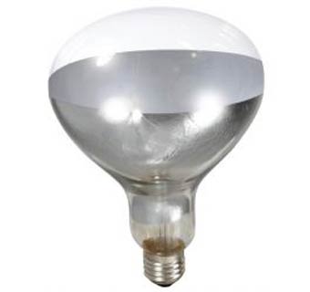 Brooder Lamp Bulb 250 Watt