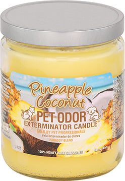 Pineapple Coconut Candle