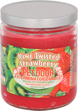 Kiwi Twisted Strawberry Candle