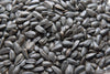 Black Oil Sunflower Seed