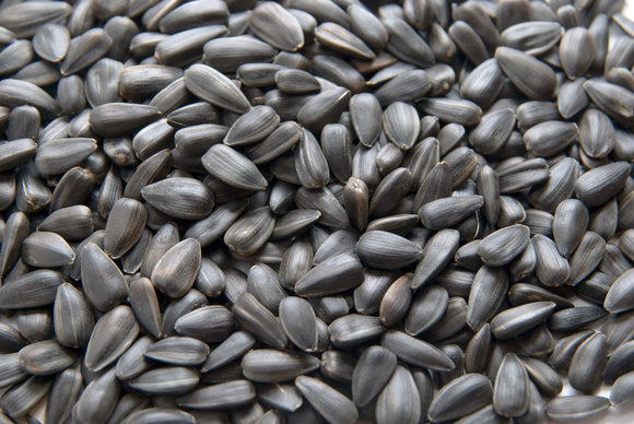 Black Oil Sunflower Seed