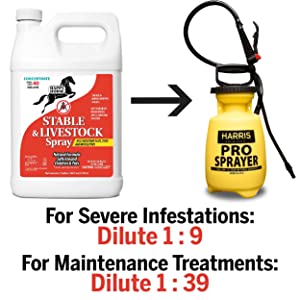 Stable & Livestock Fly Spray Concentrate