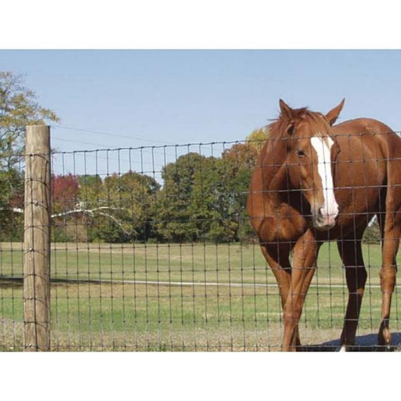 High Tensile No-Climb Gaucho Horse Fence 48