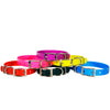 Neon Plastic Collar 3/4 Width