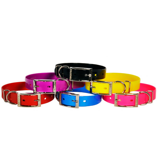 Neon Plastic Collar 1 Width