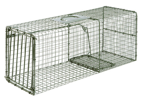 Single Door Cage Trap