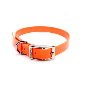 Neon Plastic Collar 3/4 Width