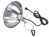 Brooder Lamp 10.5'' with Clamp
