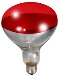 Brooder Lamp Bulb 250 Watt