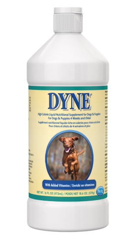 Dyne High Calorie Supplement