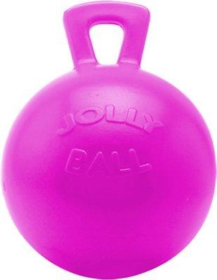 Jolly Ball Horse Toy