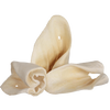 Cow Ear Treat