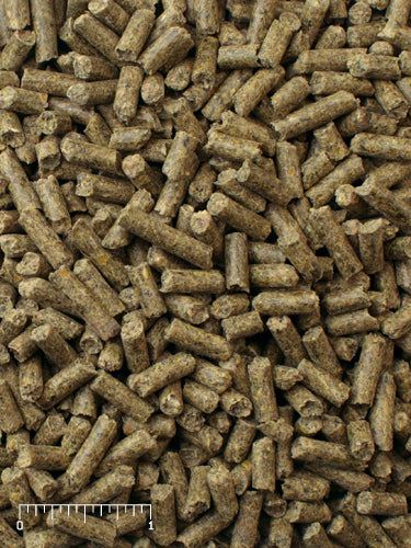 Mazuri Ostrich Growth/Maintenance Diet 50lbs