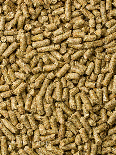 Mazuri Guinea Pig Diet 25lbs