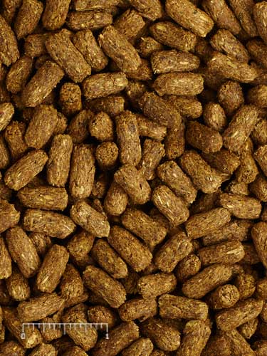 Mazuri Tortoise LS Diet 25lbs