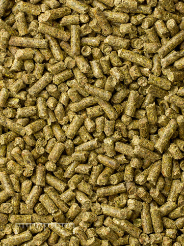 Mazuri Chinchilla Diet 25lbs