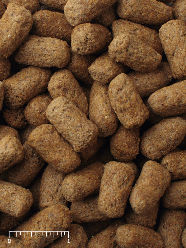 Mazuri Tortoise Diet 25lbs