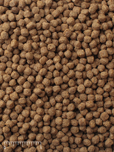 Mazuri Koi Platinum Nuggets 20lbs