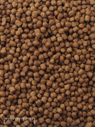 Mazuri Aquatic Turtle Diet 25lbs