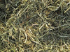 StressFree Forage 40lbs