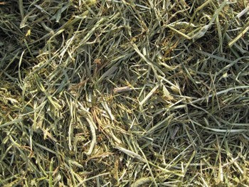 StressFree Forage 40lbs