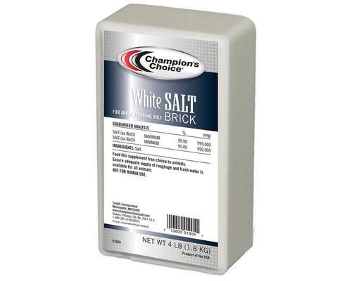 White Salt Block