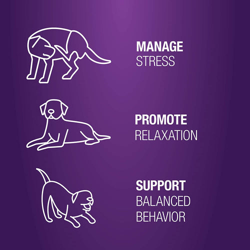 Calming Aid Anxiety Soft Chews