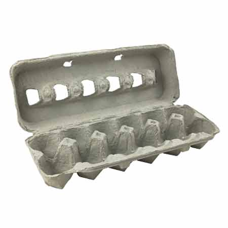 Cardboard Egg Carton