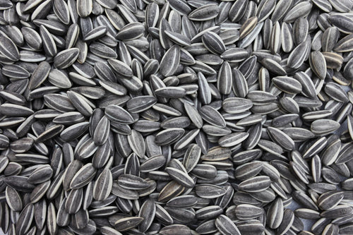 Grey-Stripe Sunflower Seeds