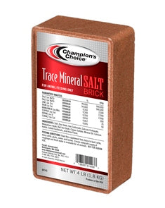 Trace Mineral Salt Block