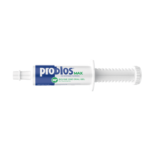 Probios MAX Bovine Oral Gel