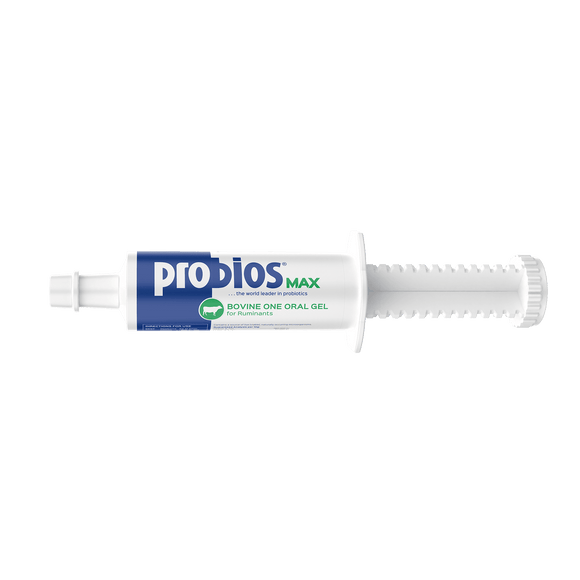 Probios MAX Bovine Oral Gel