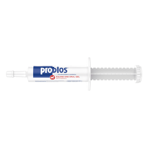 Probios Equine Oral Gel