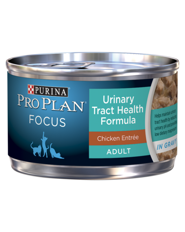 FOCUS Adult Urinary Tract Health Formula Chicken Entrée In Gravy Canned Food