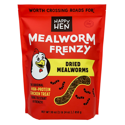 Mealworm Frenzy