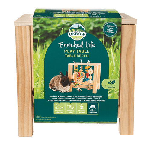 Enriched Life Play Table