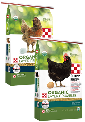 Organic Layer Chicken Feed 35lbs