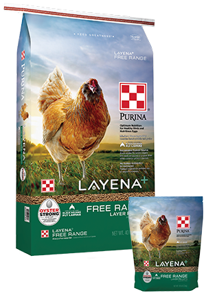 Layena Plus Free Range Layer Pellets