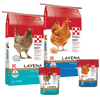 Layena Poultry Layer Feed