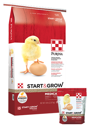 Start & Grow Medicated Chick Feed with AMP .0125