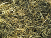 Premium Grass Forage 40lbs