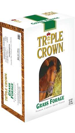 Premium Grass Forage 40lbs