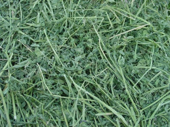 Alfalfa Hay Bale