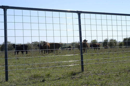 Cattle Panel 4 gauge
