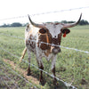 High Tensile 15.5 ga Gaucho Barbed Wire