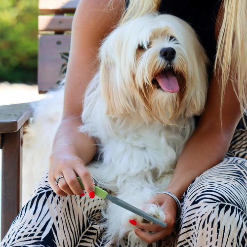 Dog Nail File