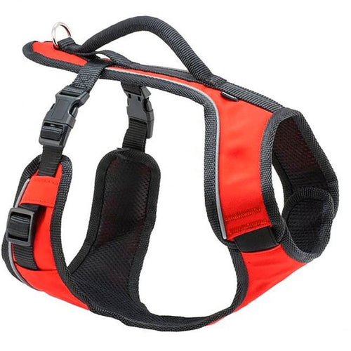 Easy Sport Harness