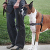 Deluxe Easy Walk No Pull Harness
