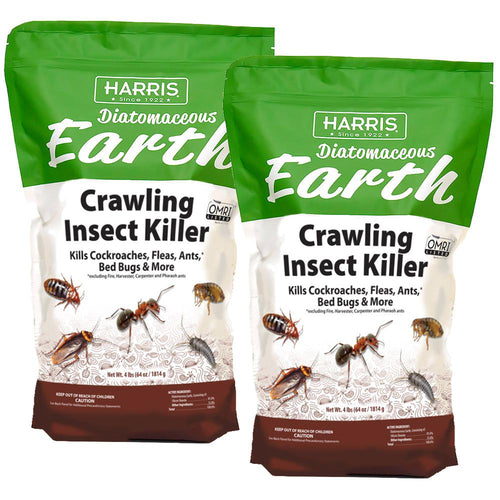Diatomaceous Earth
